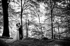 foto wesele - Cieszyn