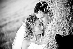 foto wesele - Ostr�w Mazowiecka