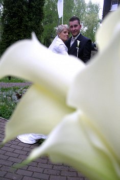 fotografia na sluby - Tychy