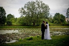 fotografie na wesele - Krasnystaw