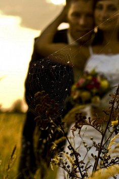 fotografia �luby - �lesin