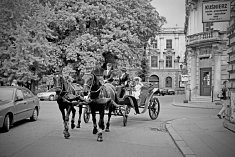 fotografie na wesela - ��d�