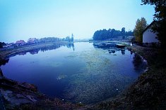 fotografie na wesela - Skar�ysko-Kamienna
