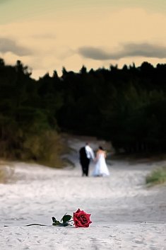 fotografia na sluby - Gda�sk