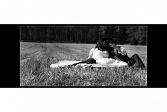 foto slub - Twardog�ra