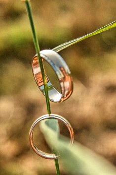 foto na wesele - Żywiec