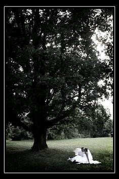 fotograf na �luby - Witkowo