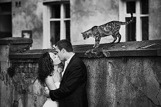 fotografia na wesela - Wroc�aw