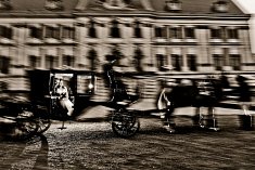 fotografie �lubne - Polkowice