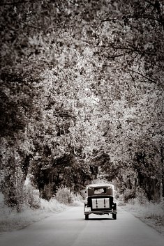 fotograf na wesela - Cz�stochowa