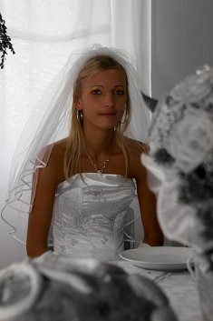 fotograf na wesela - Trzebnica