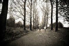 zdj�cia �lubne - Brzoz�w
