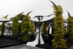 fotograf wesele - Piekary Śląskie