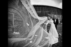 zdj�cia na wesele - W�growiec