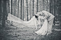 fotografie �luby - Mor�g