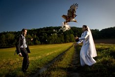 fotograf wesele - Bielsko-Biała