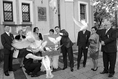foto na slub - Krak�w