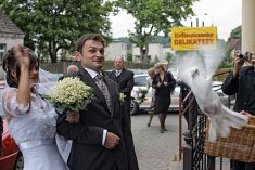 fotografia na sluby - Opole