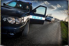 foto sluby - Okonek