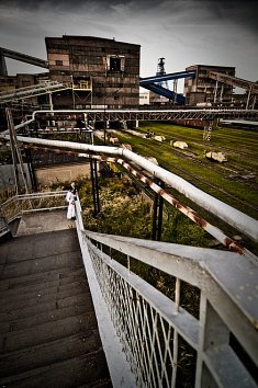 foto wesela - Chorz�w
