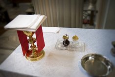 fotografia śluby - Marki