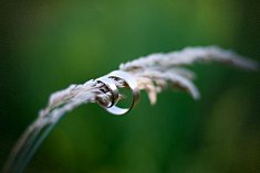 fotografie z wesela - Rawa Mazowiecka