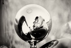 fotografia wesele - Tarn�w