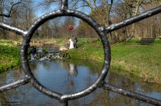 fotograf wesela - Siemianowice Śląskie
