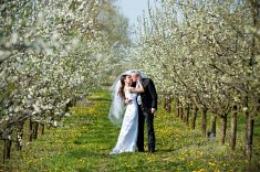 fotograf na wesela - Wis�a