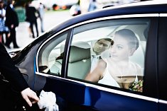 fotografia na wesele - O�ar�w Mazowiecki