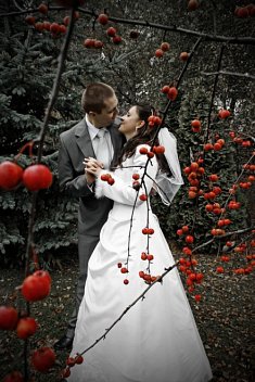 fotografia �lubna - Tychy