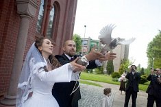 fotografia weselna - Szprotawa