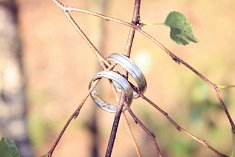 zdjecia slub - Przemy�l