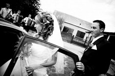 fotografie na �lub - Tomasz�w Mazowiecki