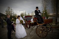 fotografie na wesela - Gda�sk