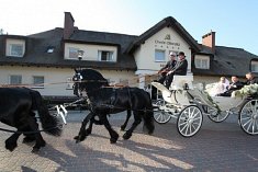 zdjecia na wesele - ��gowo