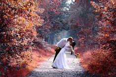 fotografia �lub - �eba