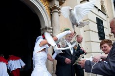 zdj�cia na sluby - Jastrz�bie Zdr�j