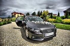 zdjecia na slub - Świebodzice