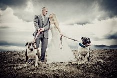 foto wesela - Nysa