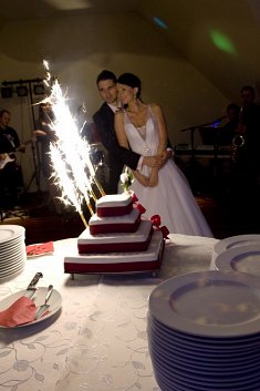 fotografia na sluby - �ywiec