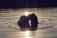 fotografia na �lub - Kolno