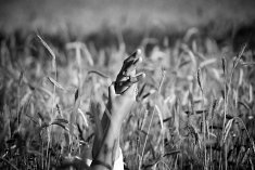 fotografie �lubne - W�adys�awowo