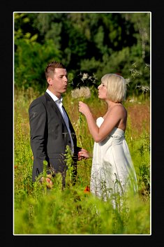 zdjecia na wesele - Gda�sk