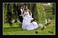fotograf na wesele - Wroc�aw