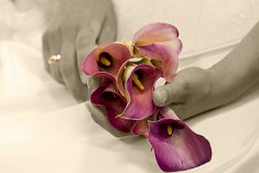 fotografie �lubne - Krak�w