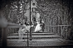 fotografie z wesela - Bielsko-Bia�a