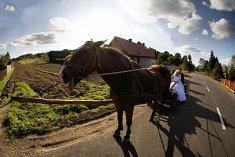 fotografia wesela - ��d�