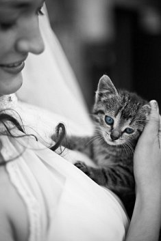fotografia wesele - W�oc�awek