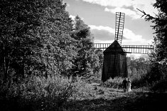 zdj�cia sluby - Pozna�